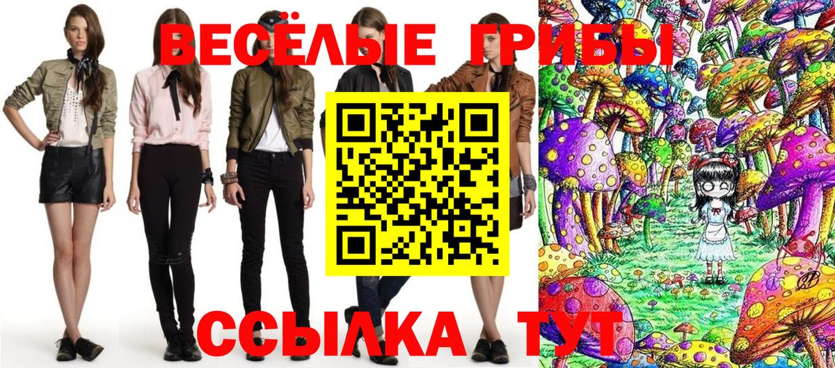 Псилоцибиновые грибы Psilocybine cubensis Севастополь