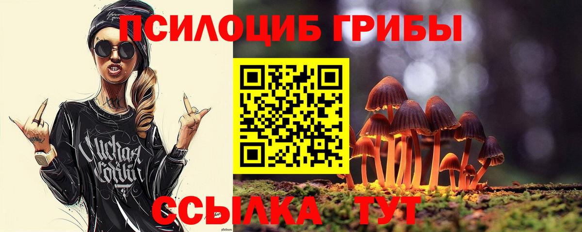 Севастополь  Псилоцибиновые грибы Magic Shrooms  Вход с VPN 